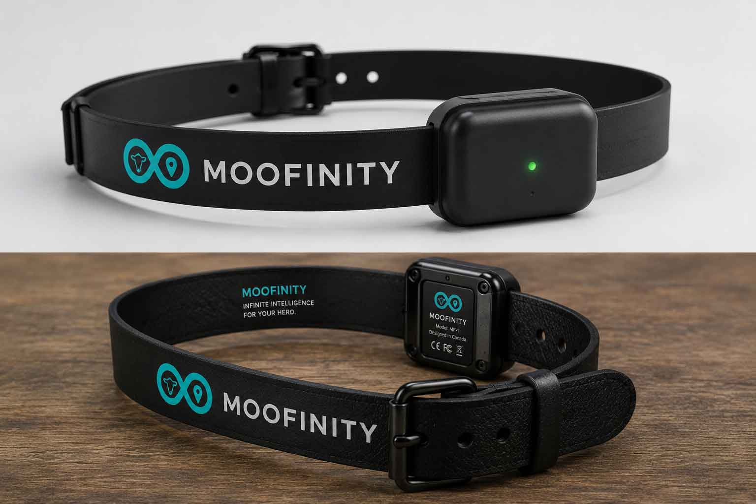 Moofinity smart collar wearable device